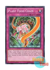 画像: 英語版 BP03-EN212 Plant Food Chain 植物連鎖 (ノーマル) 1st Edition