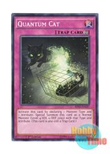 画像: 英語版 BP03-EN237 Quantum Cat 量子猫 (ノーマル) 1st Edition