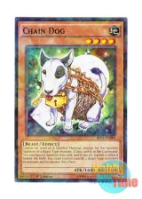 画像: 英語版 BP03-EN080 Chain Dog チェーンドッグ (シャターホイルレア) 1st Edition