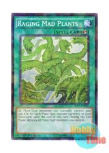 画像: 英語版 BP03-EN165 Raging Mad Plants 狂植物の氾濫 (シャターホイルレア) 1st Edition