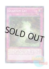 画像: 英語版 BP03-EN237 Quantum Cat 量子猫 (シャターホイルレア) 1st Edition