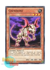 画像: 英語版 SP13-EN020 Chewbone チュウボーン (ノーマル) 1st Edition