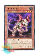 画像: 英語版 SP13-EN020 Chewbone チュウボーン (スターホイルレア) 1st Edition