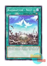 画像: 英語版 SP15-EN045 Raidraptor - Nest RR－ネスト (ノーマル) 1st Edition