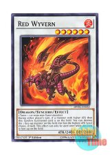 画像: 英語版 DPDG-EN032 Red Wyvern レッド・ワイバーン (ノーマル) 1st Edition