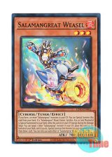 画像: 英語版 LD10-EN002 Salamangreat Weasel 転生炎獣ウィーゼル (スーパーレア) 1st Edition