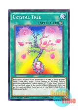 画像: 英語版 LED2-EN045 Crystal Tree 宝玉の樹 (ノーマル) 1st Edition