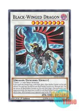 画像: 英語版 LED3-EN028 Black-Winged Dragon ブラックフェザー・ドラゴン (ノーマル) 1st Edition