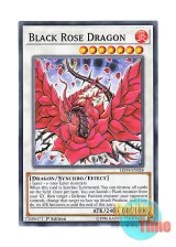 画像: 英語版 LED4-EN028 Black Rose Dragon ブラック・ローズ・ドラゴン (ノーマル) 1st Edition