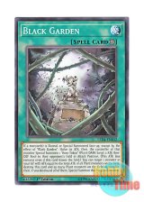 画像: 英語版 LED4-EN032 Black Garden ブラック・ガーデン (ノーマル) 1st Edition