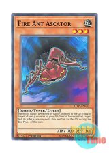 画像: 英語版 LED5-EN030 Fire Ant Ascator 赤蟻アスカトル (ノーマル) 1st Edition