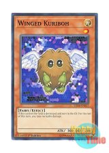 画像: 英語版 LED6-EN017 Winged Kuriboh ハネクリボー (ノーマル) 1st Edition