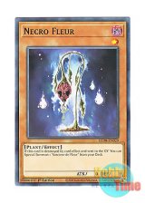 画像: 英語版 LED8-EN029 Necro Fleur 死の花－ネクロ・フルール (ノーマル) 1st Edition