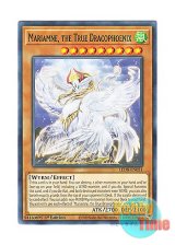 画像: 英語版 LED8-EN051 Mariamne, the True Dracophoenix 真竜凰マリアムネ (ノーマル) 1st Edition