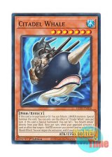 画像: 英語版 LED9-EN026 Citadel Whale 城塞クジラ (ノーマル) 1st Edition