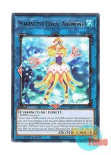 画像: 英語版 LED9-EN041 Marincess Coral Anemone 海晶乙女コーラルアネモネ (レア) 1st Edition