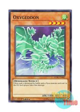 画像: 英語版 LEDU-EN041 Oxygeddon オキシゲドン (ノーマル) 1st Edition