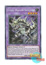 画像: 英語版 BLAR-EN010 Fossil Dragon Skullgar 新生代化石竜 スカルガー (シークレットレア) 1st Edition