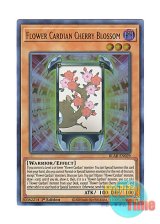 画像: 英語版 BLAR-EN029 Flower Cardian Cherry Blossom 花札衛－桜－ (ウルトラレア) 1st Edition