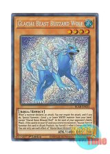 画像: 英語版 BLAR-EN031 Glacial Beast Blizzard Wolf 極氷獣ブリザード・ウルフ (シークレットレア) 1st Edition