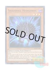 画像: 英語版 BLHR-EN081 Shaddoll Hedgehog シャドール・ヘッジホッグ (ウルトラレア) 1st Edition