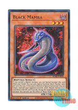 画像: 英語版 BLMR-EN019 Black Mamba ブラックマンバ (ウルトラレア) 1st Edition