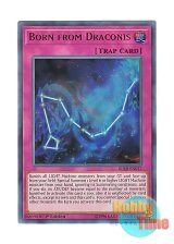 画像: 英語版 BLRR-EN017 Born from Draconis ボーン・フロム・ドラコニス (ウルトラレア) 1st Edition