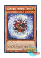 画像: 英語版 BLTR-EN001 Winged Kuriboh LV6 ハネクリボー LV６ (シークレットレア) 1st Edition