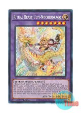 画像: 英語版 BLTR-EN018 Ritual Beast Ulti-Nochiudrago 聖霊獣騎 ノチウドラゴ (シークレットレア) 1st Edition