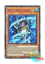 画像: 英語版 BROL-EN048 Right-Hand Shark ライトハンド・シャーク (ウルトラレア) 1st Edition