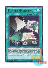 画像: 英語版 DRL3-EN040 Flower Gathering 花合わせ (ウルトラレア) 1st Edition