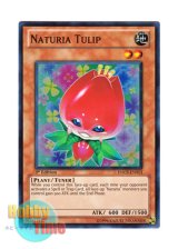 画像: 英語版 HA03-EN013 Naturia Tulip ナチュル・トライアンフ (スーパーレア) 1st Edition