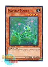 画像: 英語版 HA04-EN049 Naturia Mantis ナチュル・マンティス (スーパーレア) 1st Edition