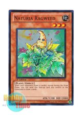 画像: 英語版 HA04-EN050 Naturia Ragweed ナチュル・ラグウィード (スーパーレア) 1st Edition