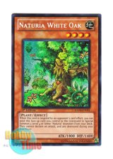 画像: 英語版 HA04-EN051 Naturia White Oak ナチュル・ホワイトオーク (シークレットレア) 1st Edition