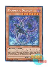 画像: 英語版 MVP1-ENS06 Pandemic Dragon パンデミック・ドラゴン (シークレットレア) 1st Edition