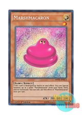 画像: 英語版 MVP1-ENS13 Marshmacaron マシュマカロン (シークレットレア) 1st Edition