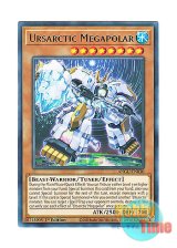 画像: 英語版 ANGU-EN030 Ursarctic Megapolar ベアルクティ－メガポーラ (レア) 1st Edition