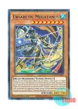 画像: 英語版 ANGU-EN031 Ursarctic Megatanus ベアルクティ－メガタナス (レア) 1st Edition