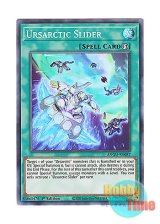 画像: 英語版 ANGU-EN037 Ursarctic Slider ベアルクティ・スライダー (スーパーレア) 1st Edition