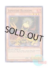 画像: 英語版 FUEN-EN046 Lonefire Blossom ローンファイア・ブロッサム (スーパーレア) 1st Edition