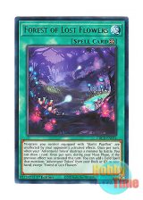 画像: 英語版 GRCR-EN034 Forest of Lost Flowers 迷い花の森 (レア) 1st Edition