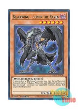 画像: 英語版 MAZE-EN038 Blackwing - Elphin the Raven BF－漆黒のエルフェン (レア) 1st Edition