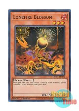 画像: 英語版 RA01-EN002 Lonefire Blossom ローンファイア・ブロッサム (スーパーレア) 1st Edition