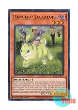 画像: 英語版 RA01-EN013 Danger!? Jackalope? 未界域のジャッカロープ (ウルトラレア) 1st Edition