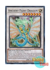 画像: 英語版 RA01-EN030 Ancient Fairy Dragon エンシェント・フェアリー・ドラゴン (スーパーレア) 1st Edition