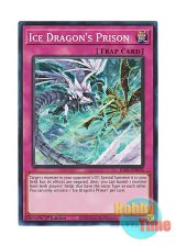 画像: 英語版 RA01-EN078 Ice Dragon's Prison 天龍雪獄 (スーパーレア) 1st Edition