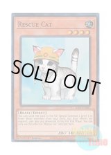 画像: 英語版 RA02-EN001 Rescue Cat レスキューキャット (スーパーレア) 1st Edition