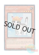 画像: 英語版 RA02-EN001 Rescue Cat レスキューキャット (プリズマティックコレクターズレア) 1st Edition