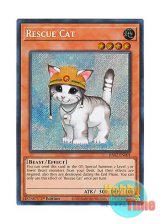 画像: 英語版 RA02-EN001 Rescue Cat レスキューキャット (シークレットレア) 1st Edition